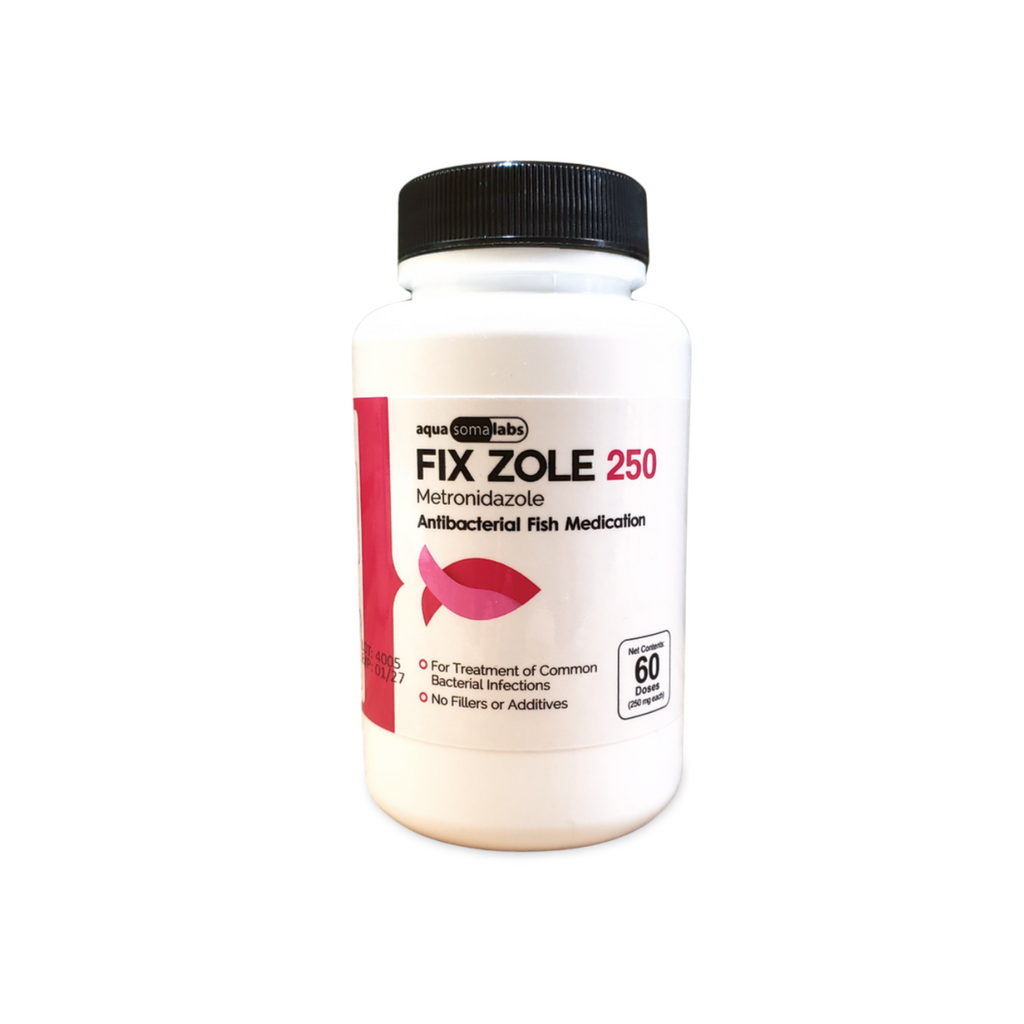 Metronidazole 250 60