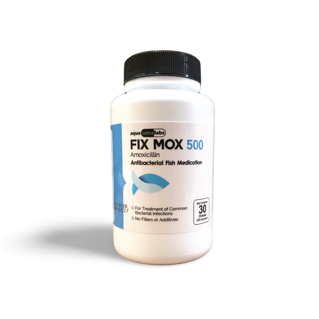 Amoxicillin 500 30