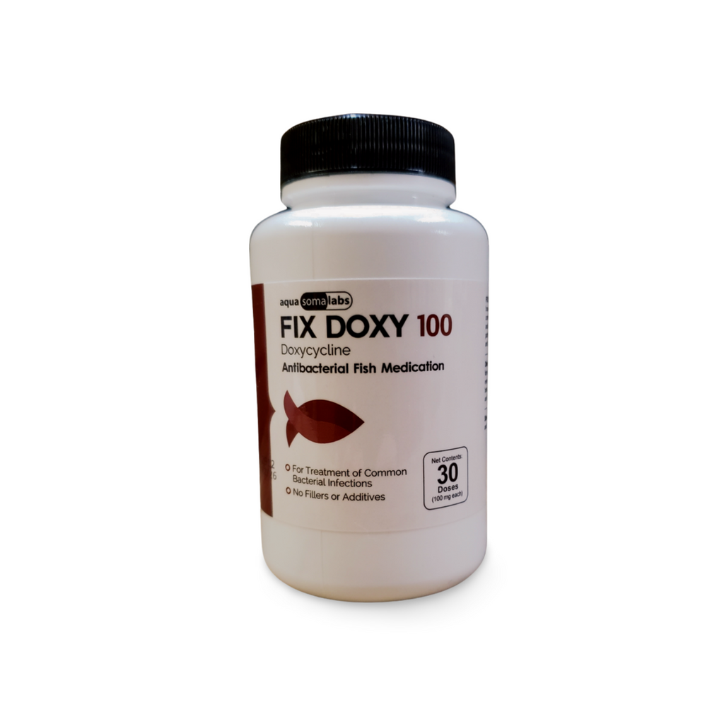 Doxycycline 100 30