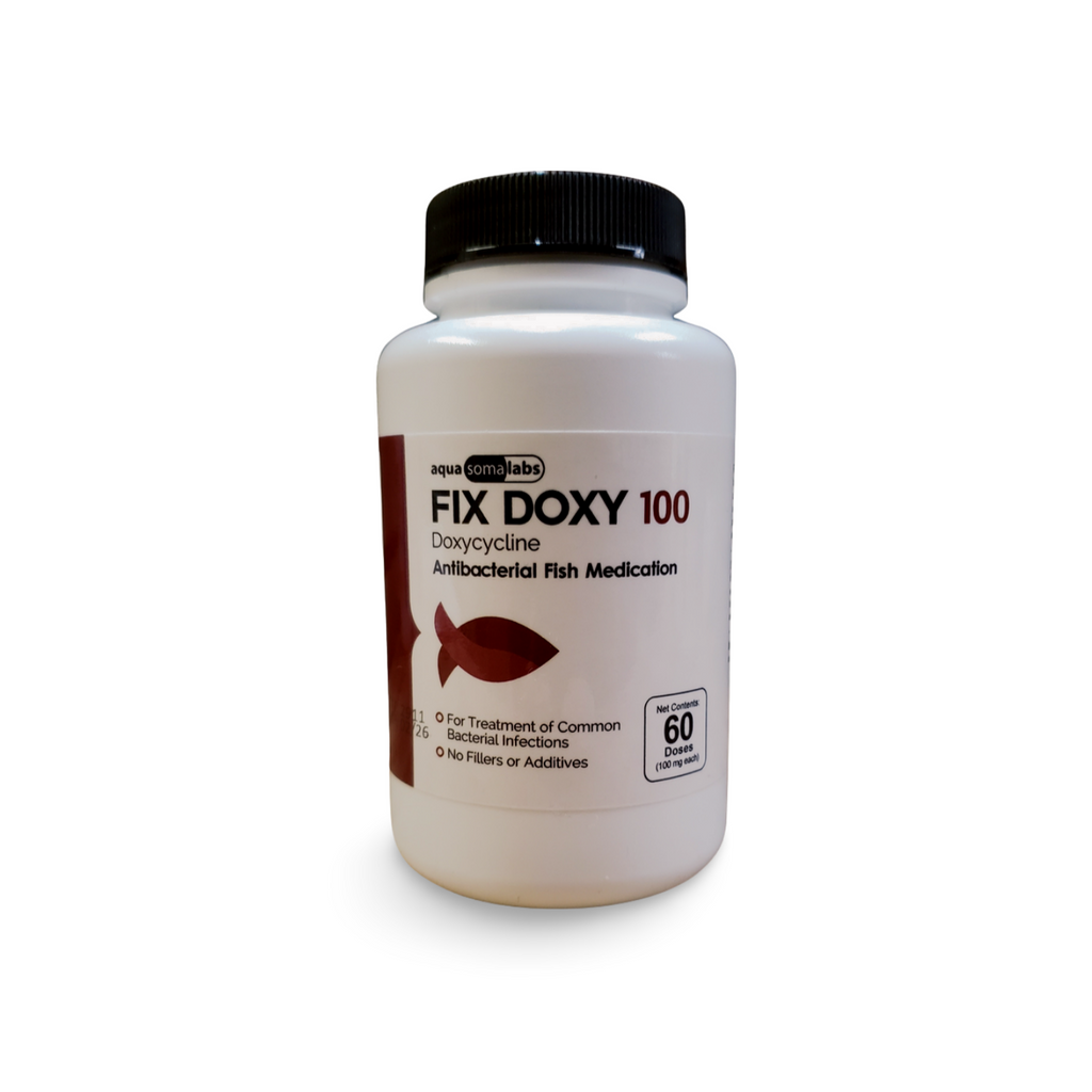 Doxycycline 100 60