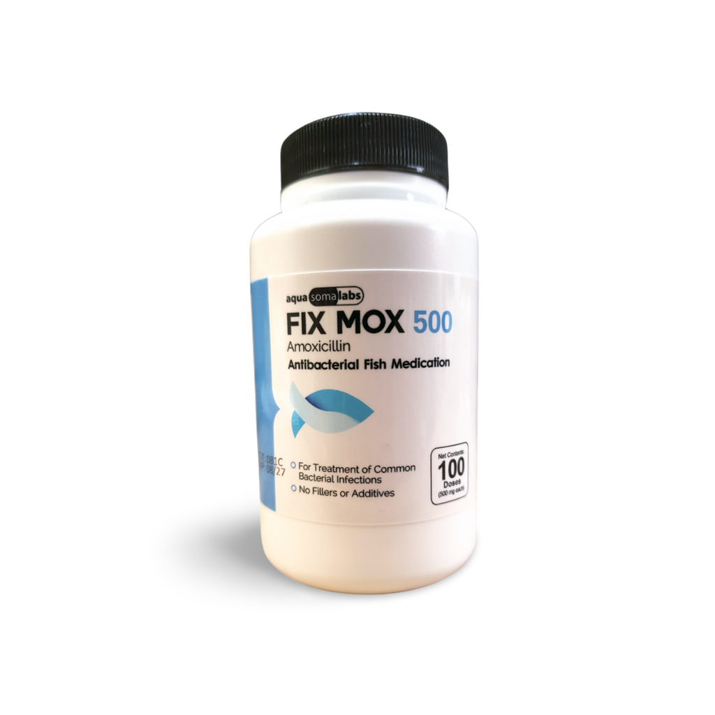 Amoxicillin 500 100