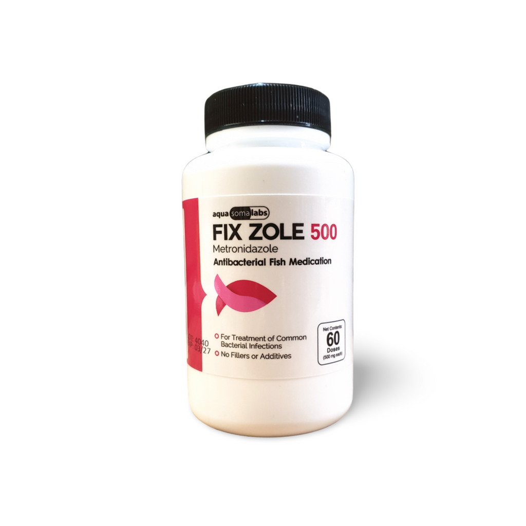 Metronidazole 500 60