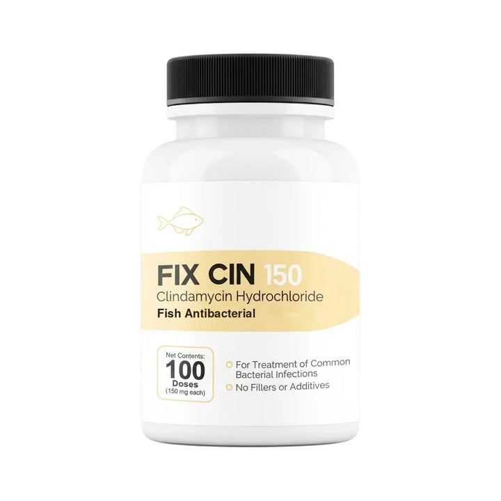 Fish Clindamycin 150mg 100 Capsules - Antibacterial for Infected Injuries in Ornamental Fish