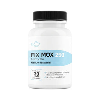Fish Amoxicillin (Fish Mox) 250mg 30 Count Bottle - Aquarium Antibacterial for Dropsy and Bacterial Dropsy