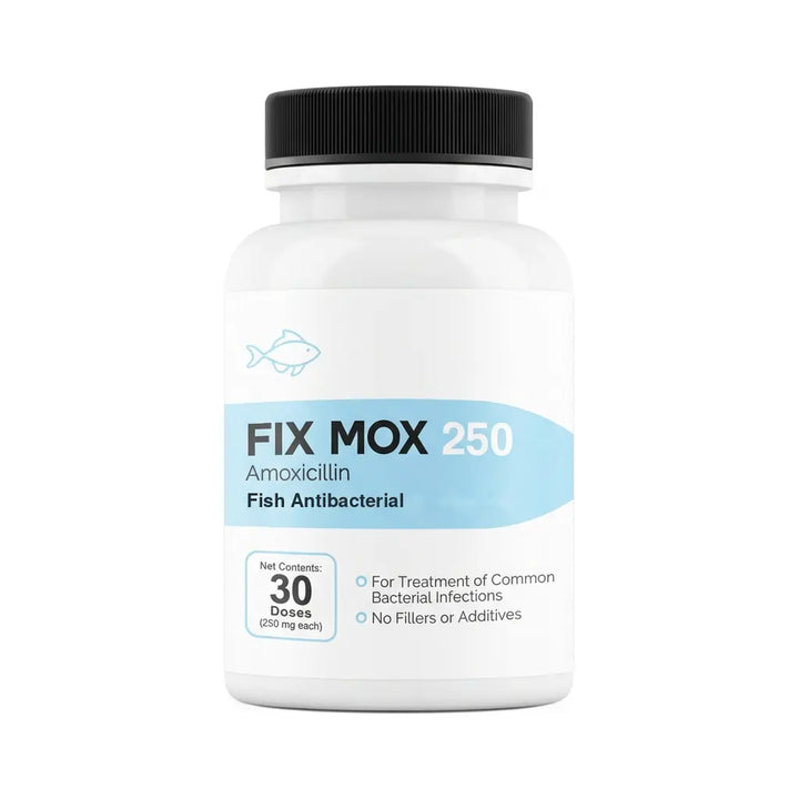 Fish Amoxicillin (Fish Mox) 250mg 30 Count Bottle - Aquarium Antibacterial for Dropsy and Bacterial Dropsy