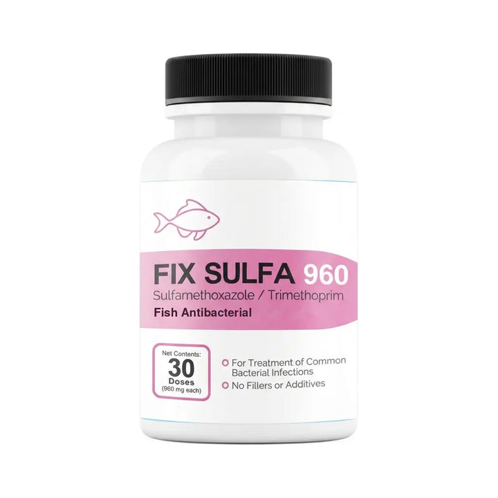 Fish Sulfa (Sulfamethoxazole Trimethoprim) 960mg 30 Count - Fish Treatment for Fungal and Bacterial Issues