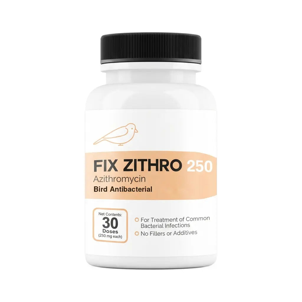 Bird Zithro (Fix Zithro) Azithromycin 250mg (30 Count)