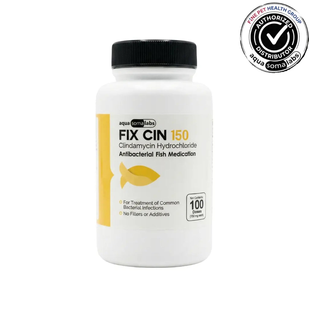 Fix Cin (Clindamycin) 150mg 100 Capsules - Antibiotic for Infected Injuries in Ornamental Fish
