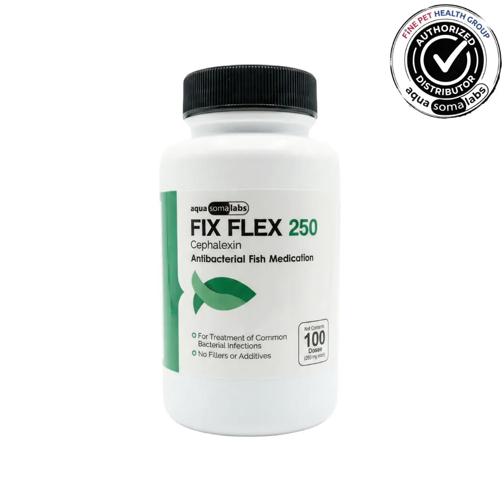 Fix Flex (Cephalexin) 250mg 100 Count Bottle - Broad Spectrum Bacterial Remedy for Aquarium Fish
