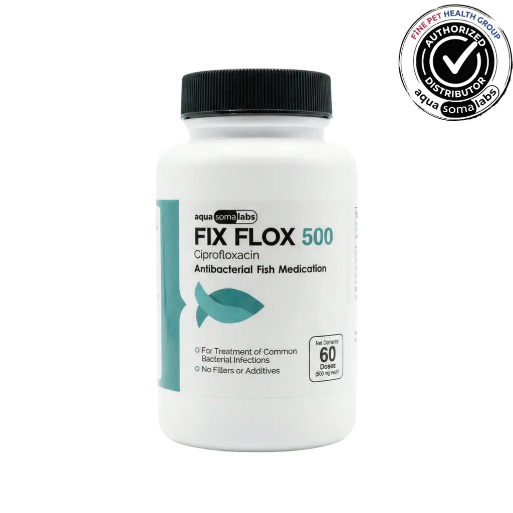 Fix Flox (Ciprofloxacin) 500mg 60 Count - Ornamental Fish Medication for Gram-Negative Bacteria