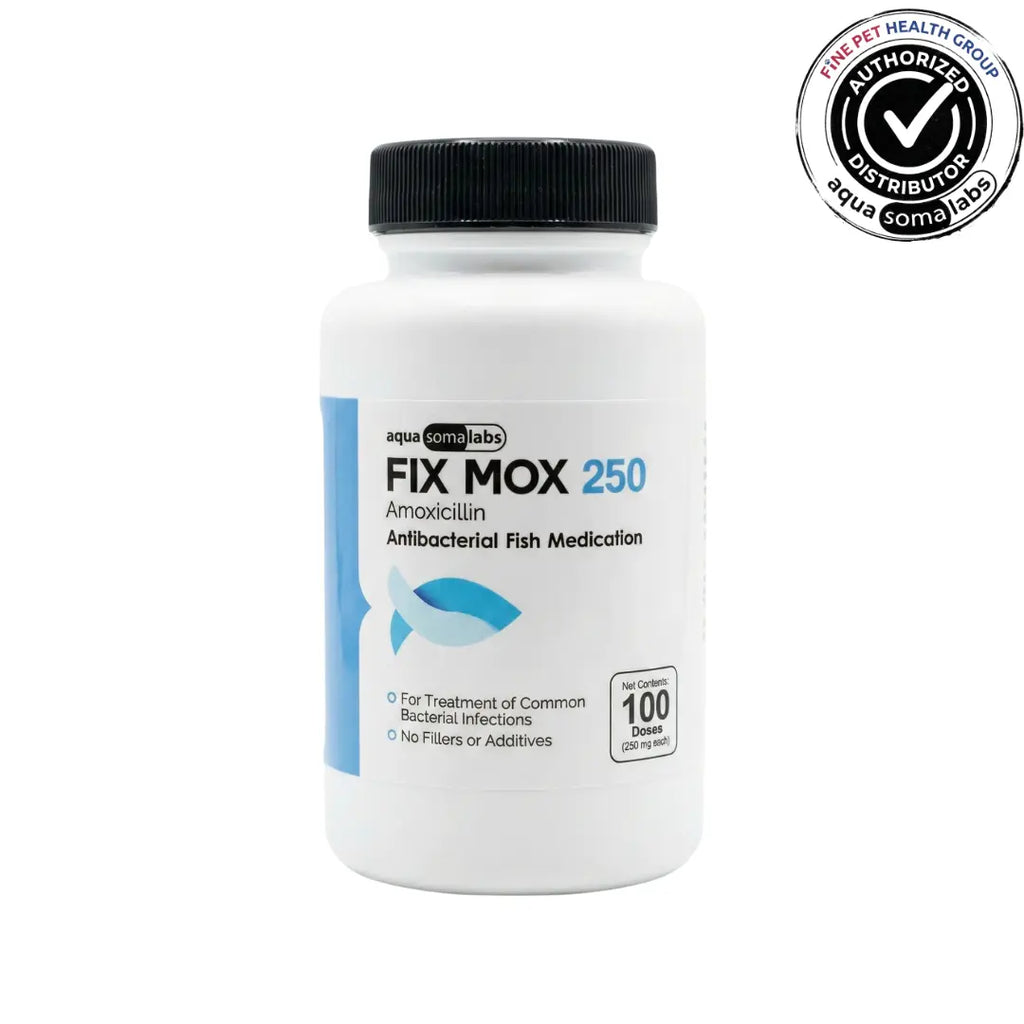 Fix Mox (Amoxicillin) 250mg 100 Count - Broad Spectrum Fish Treatment for Fin and Tail Rot