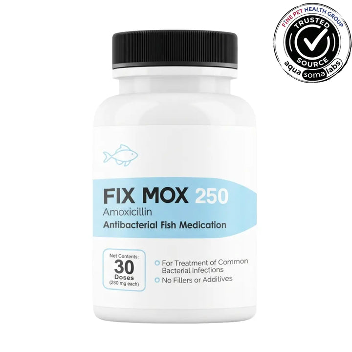 Fix Mox (Amoxicillin) 250mg 30 Count Bottle - Aquarium Antibiotic for Dropsy and Bacterial Dropsy