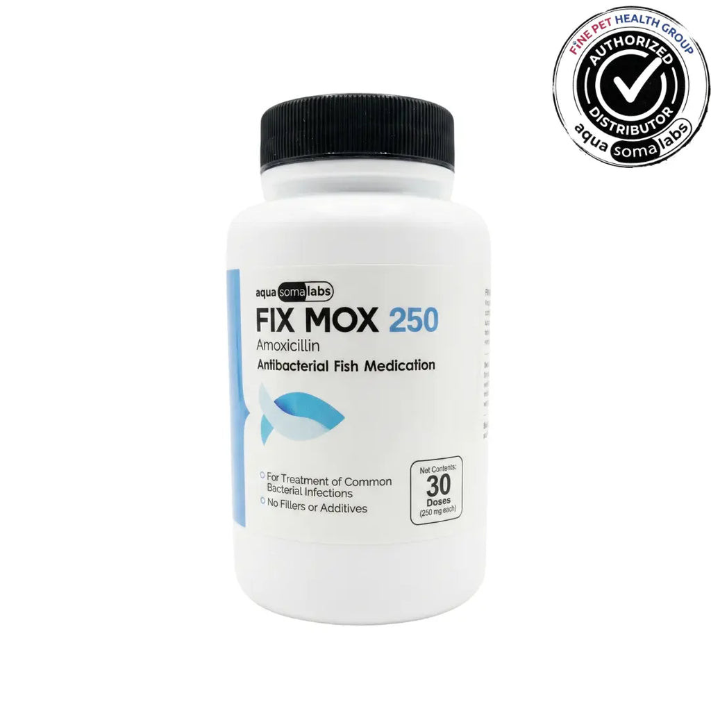 Fix Mox (Amoxicillin) 250mg 30 Count Bottle - Aquarium Antibiotic for Dropsy and Bacterial Dropsy