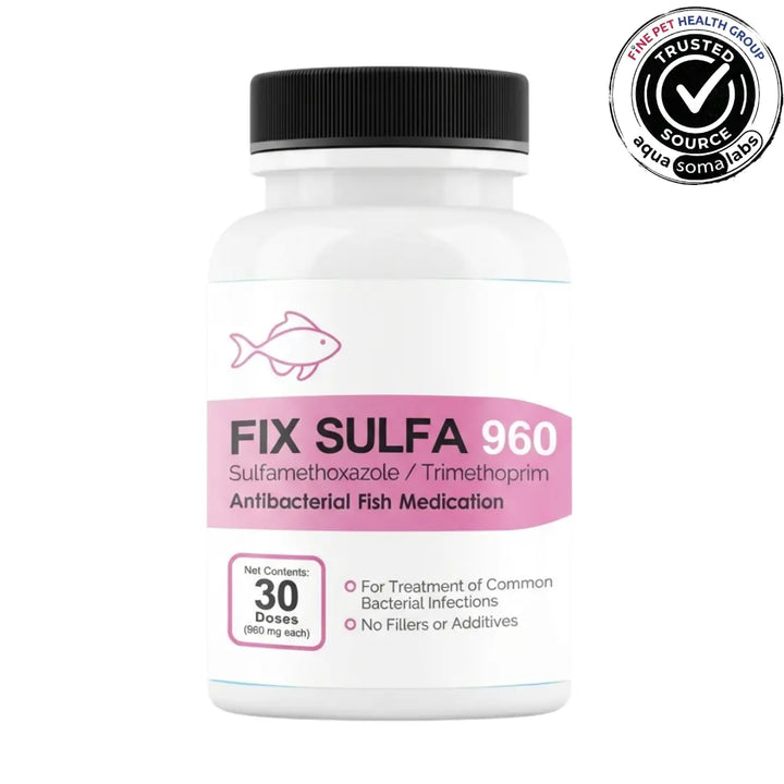 Fix Sulfa (Sulfamethoxazole Trimethoprim) 960mg 30 Count - Fish Treatment for Fungal and Bacterial Issues