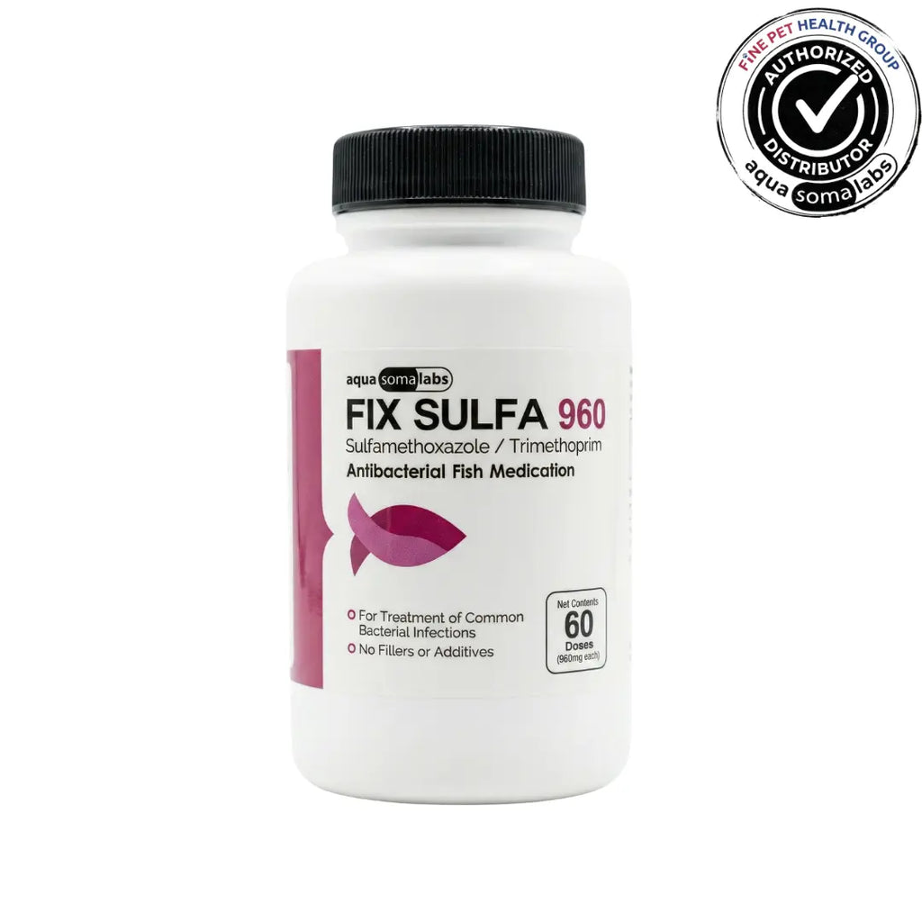Fix Sulfa (Sulfamethoxazole Trimethoprim) 960mg 60 Count - Remedy for Furunculosis in Ornamental Fish