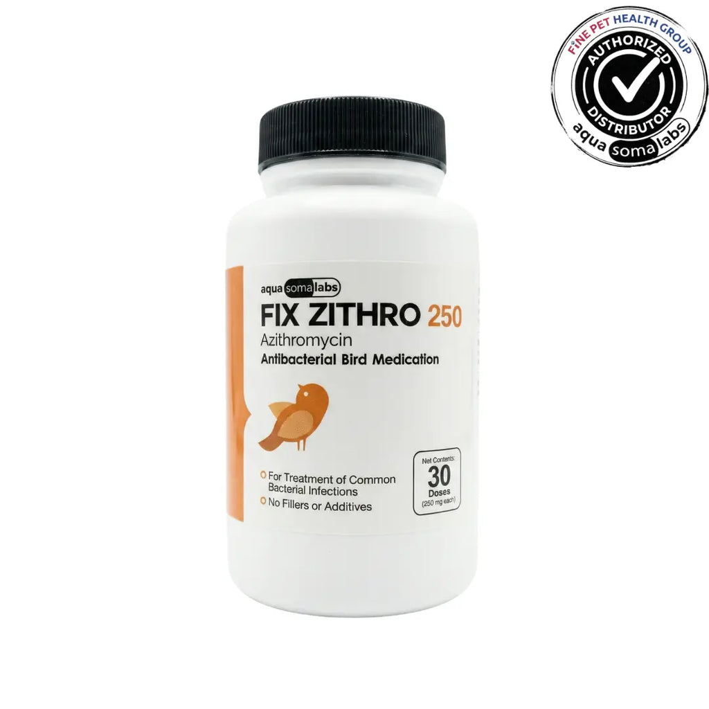 Fix Zithro (Azithromycin) 250mg 30 Count - Treatment for Aeromonas in Aquarium Fish