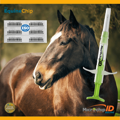 The EquineChip 134kHz ISO Single Microchip – Fine Pet Health
