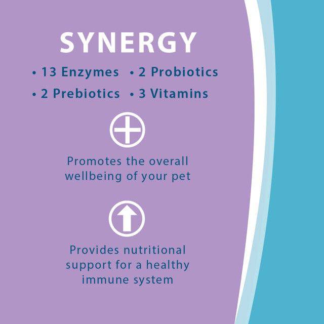 Synacore Synacore Digestive Support for Cats (30 Packets) – Fine Pet Health