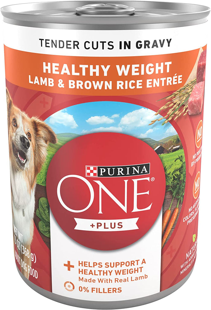Purina One Plus Classic Ground/Tender Cuts In Gravy Adult Dog Food Cans